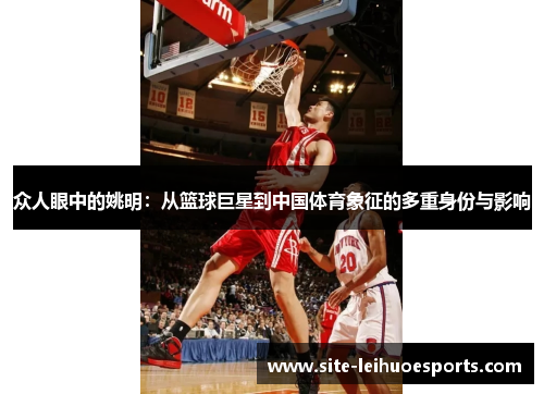 众人眼中的姚明：从篮球巨星到中国体育象征的多重身份与影响