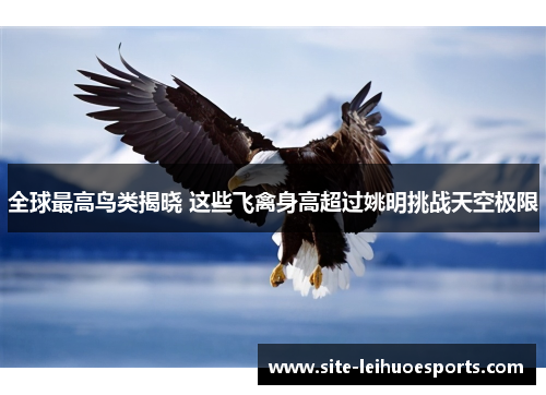 全球最高鸟类揭晓 这些飞禽身高超过姚明挑战天空极限