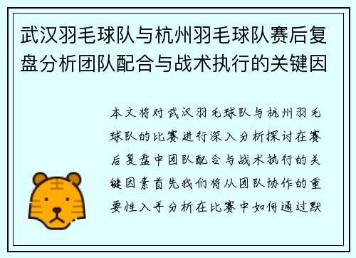 武汉羽毛球队与杭州羽毛球队赛后复盘分析团队配合与战术执行的关键因素