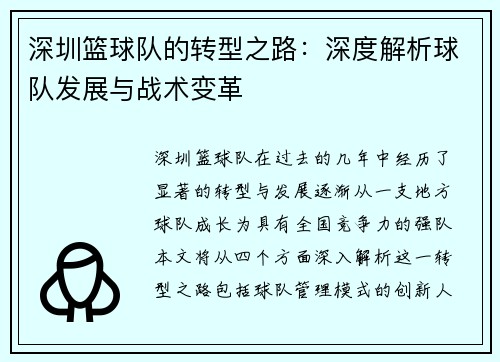 深圳篮球队的转型之路：深度解析球队发展与战术变革