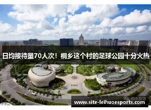 日均接待量70人次！桐乡这个村的足球公园十分火热