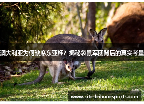澳大利亚为何缺席东亚杯？揭秘袋鼠军团背后的真实考量